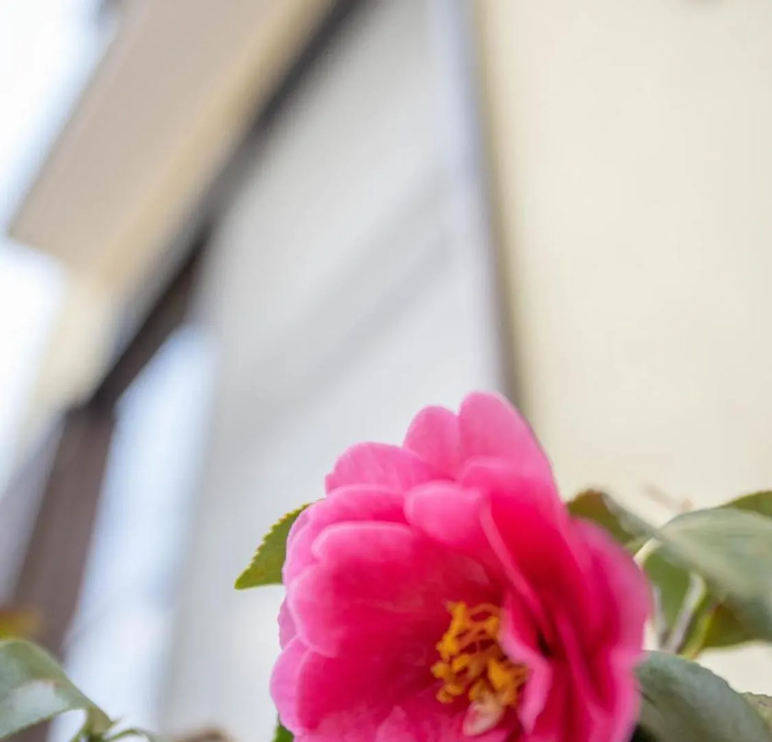 美築粟田 Apartment Kyoto Japan